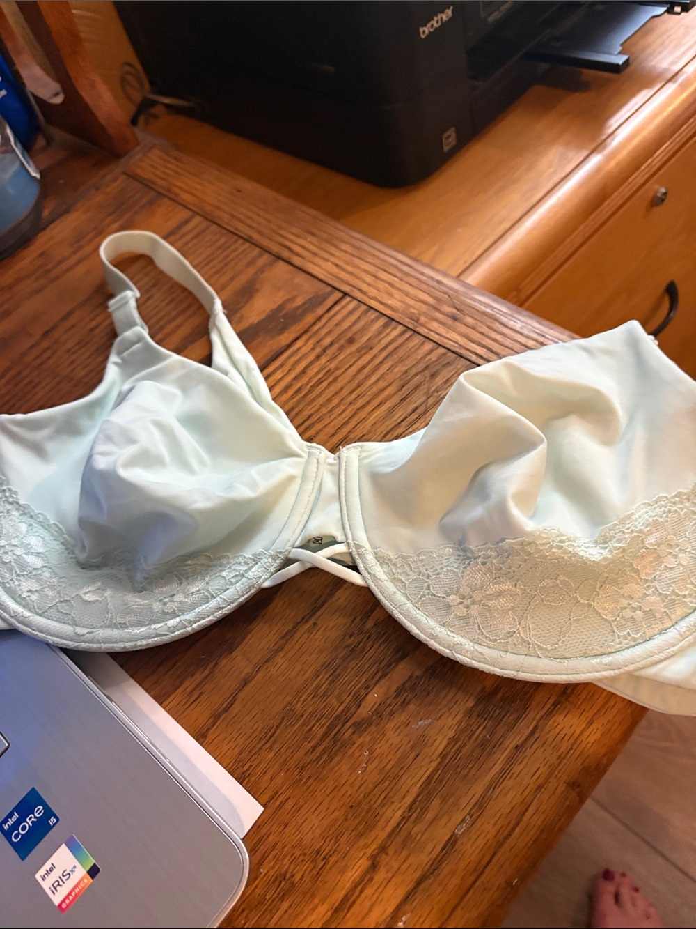 Vanity Fair Pale Mint Lace Underwire Bra